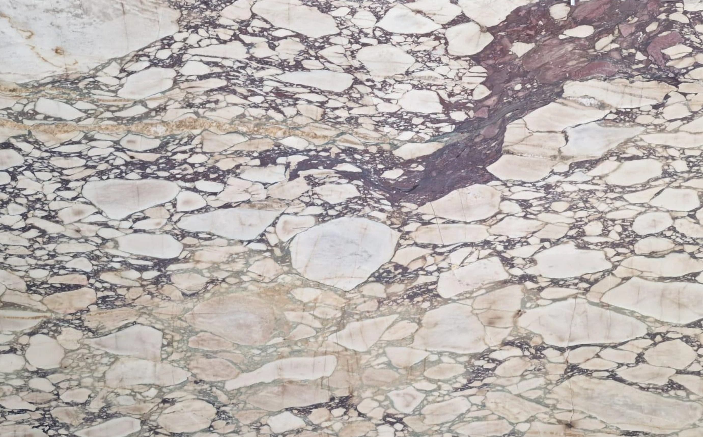 Calacatta Viola — Marble slab, block D3077