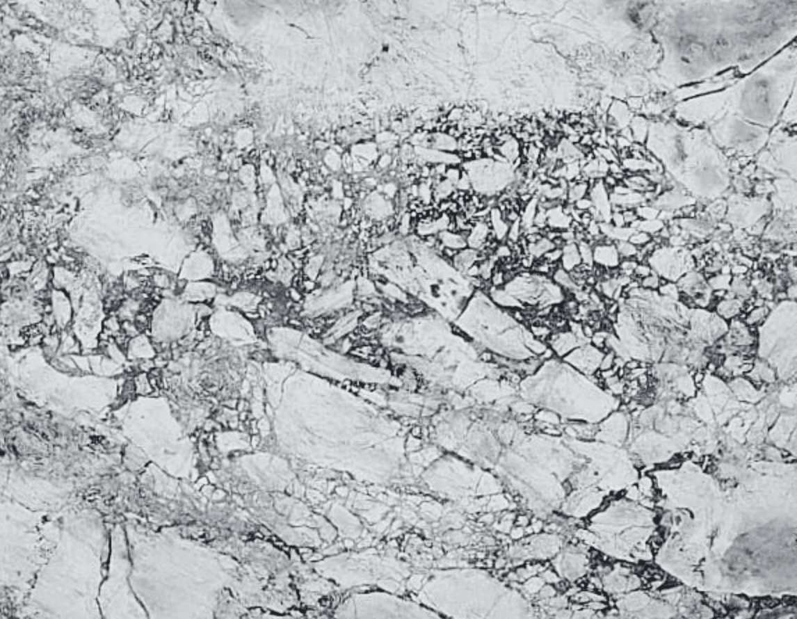 Bianco Eclispe 3cm Leather — Quartzite slab, block 13758-01