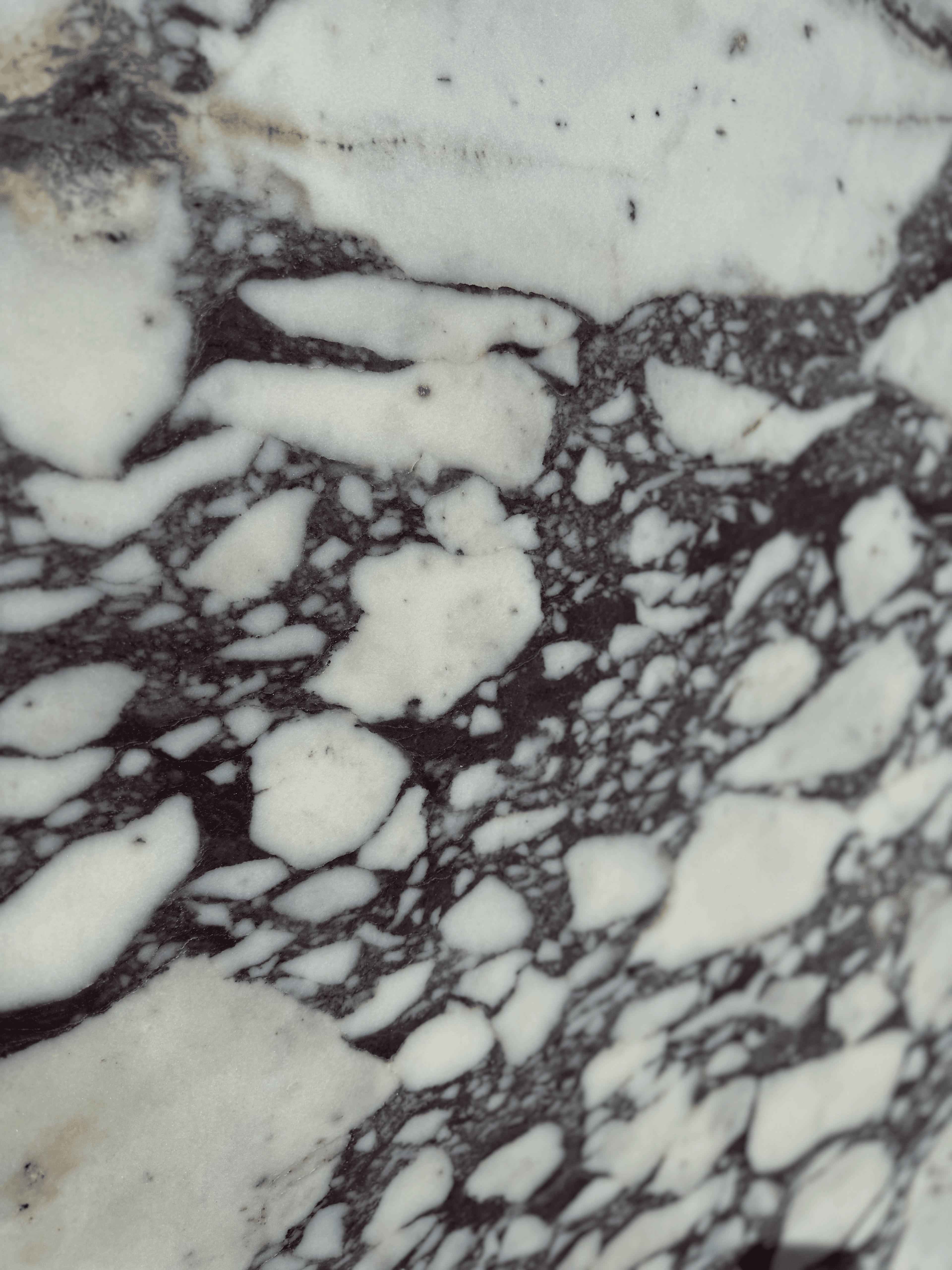 Calacatta Viola Honed — Marble slab, block NX32